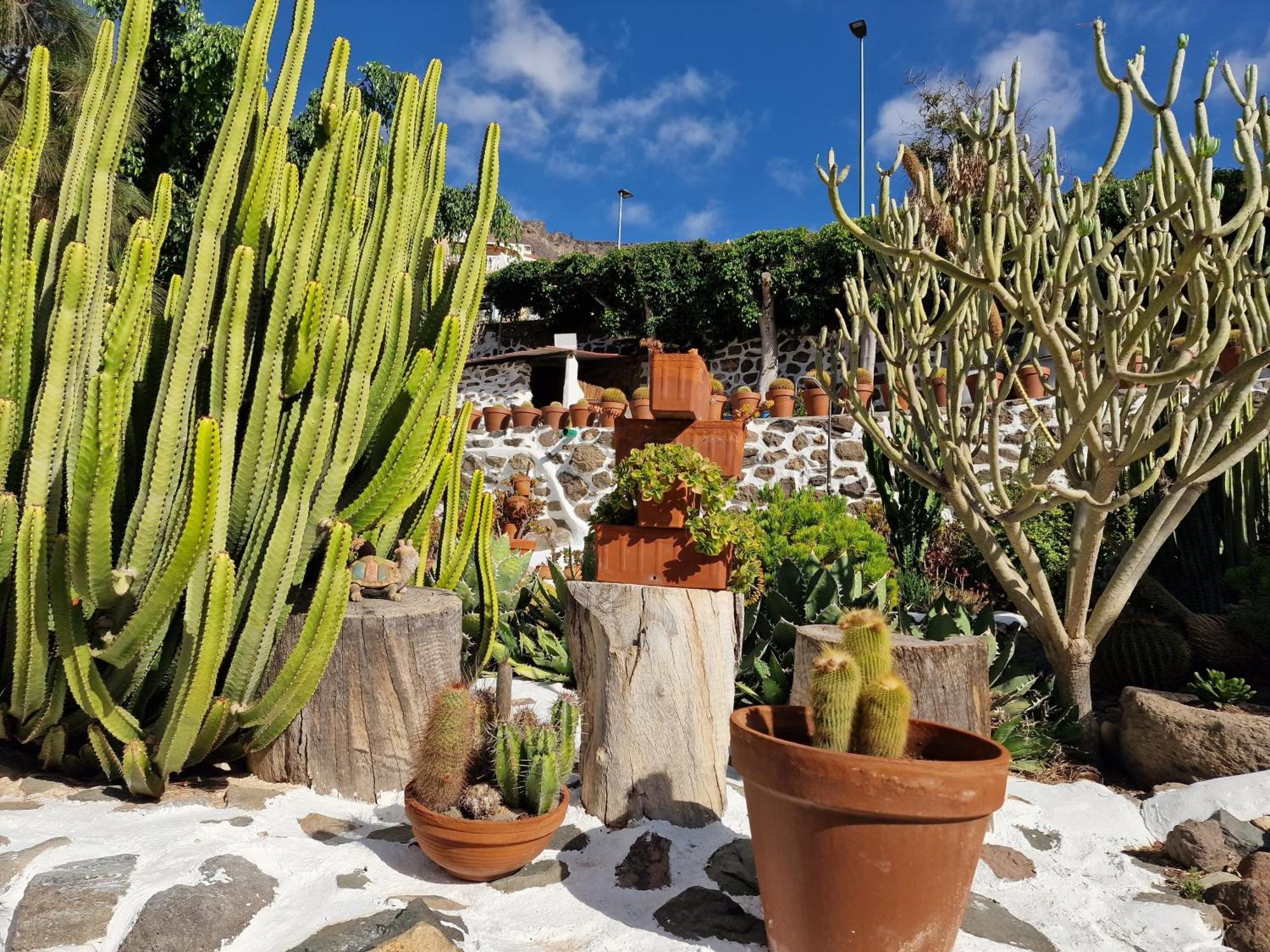 Villa Historica Casa Con Vistas Al Jardin De Cactus Y Montanas à Mogán Extérieur photo