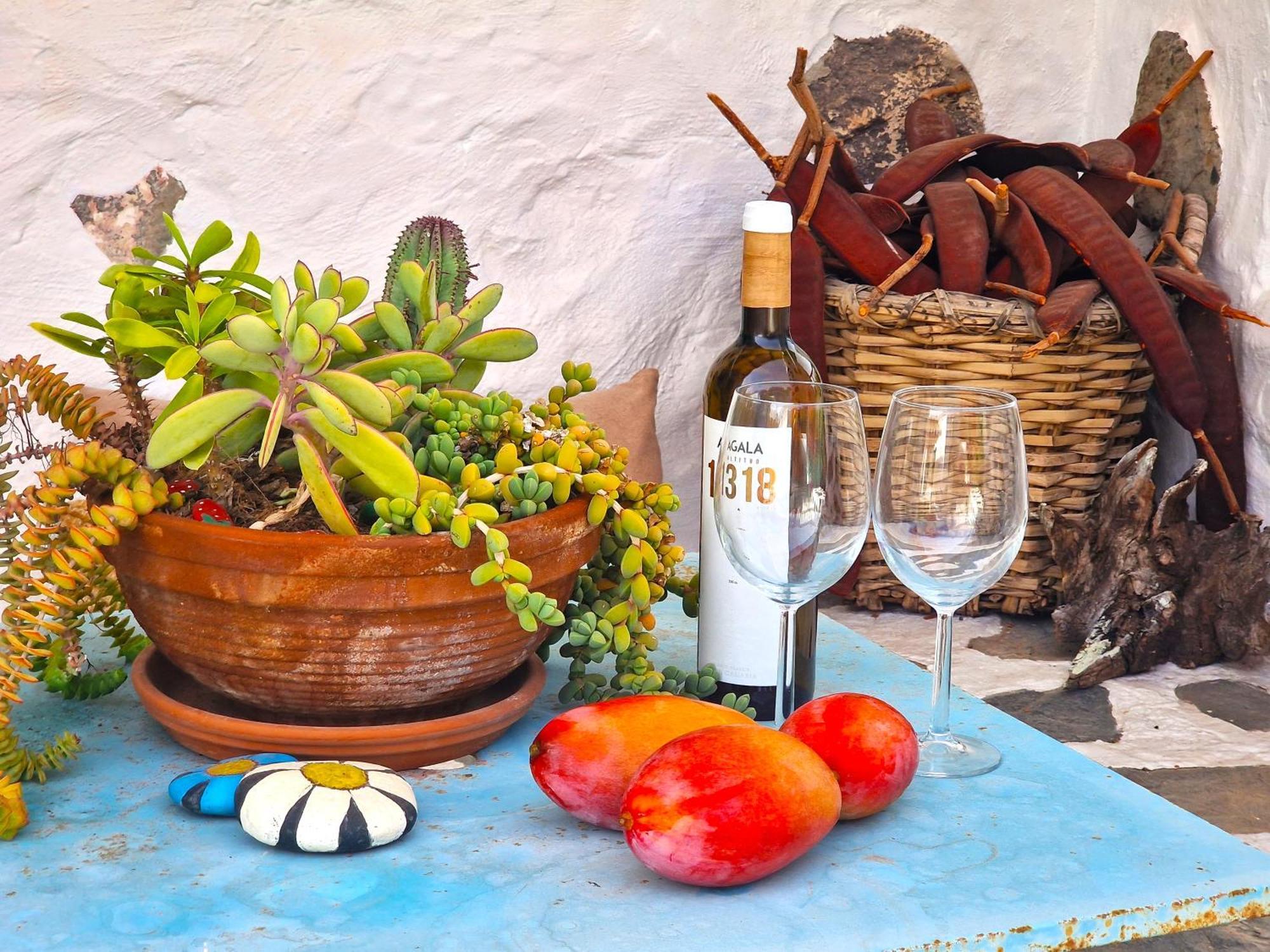 Villa Historica Casa Con Vistas Al Jardin De Cactus Y Montanas à Mogán Extérieur photo